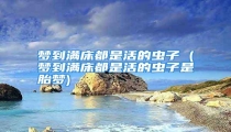 梦到满床都是活的虫子 (梦到满床都是活的虫子是胎梦)