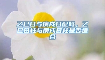 乙巳日与庚戌日配吗,乙巳日柱与庚戌日柱是否适合