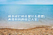 算卦说烂桃花是什么意思(再婚妈妈的隐忍人生)