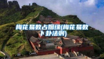 梅花易数占姻缘(梅花易数卜卦法则)