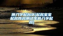 测八字起名字(起名宝宝起名姓名测试生辰八字起名)