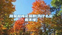 周易和梅花易数(为什么会看不懂)