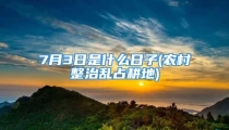7月3日是什么日子(农村整治乱占耕地)