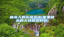 属龙人的买房忌讳(家里属龙的人特别多好吗)