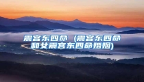 震宫东四命 (震宫东四命和女震宫东四命婚姻)