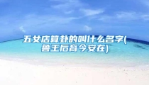 五女店算卦的叫什么名字(鲁王后裔今安在)