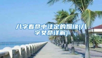 八字看命中注定的姻缘(八字女命详解)
