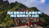 梅花易数为什么不建议学(梅花易数的占卜心法)
