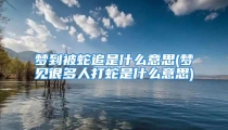 梦到被蛇追是什么意思(梦见很多人打蛇是什么意思)