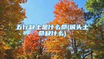 五行缺土是什么命(城头土命缺什么)