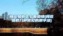 梅花易数怎么看感情(梅花易数几种常见的测字法)
