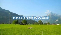 1997丁丑年的人命运