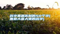 名字里最吉利的50个字(寓意大富大贵的名字)