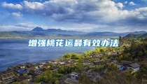 增强桃花运最有效办法