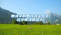 带淳字的男孩名字大全(名字带淳的名人)