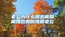 老公为什么提出离婚离婚后如何挽回老公