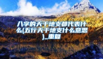 八字的天干地支都代表什么(五行天干地支什么意思)_重复
