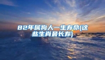 82年属狗人一生寿命(这些生肖最长寿)