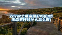 五行缺土戴蜜蜡好吗(白蜡金命五行缺什么怎么看)