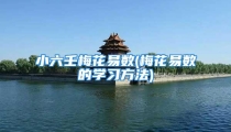 小六壬梅花易数(梅花易数的学习方法)