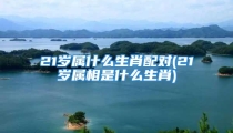 21岁属什么生肖配对(21岁属相是什么生肖)