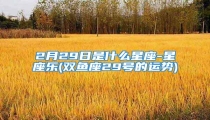 2月29日是什么星座-星座乐(双鱼座29号的运势)