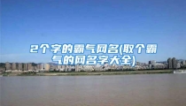 2个字的霸气网名(取个霸气的网名字大全)
