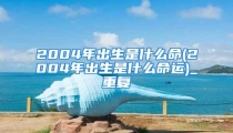 2004年出生是什么命(2004年出生是什么命运)_重复
