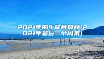 2021年的牛称骨算命(2021年最后一个周末)