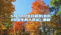 5月20日生日算命(农历20出生的人命运)_重复
