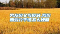 男友因父母反对,我们恋爱分手该怎么挽回