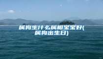 属狗生什么属相宝宝好(属狗出生日)