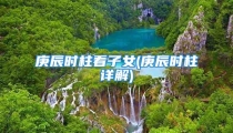 庚辰时柱看子女(庚辰时柱详解)