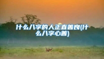 什么八字的人正直善良(什么八字心善)