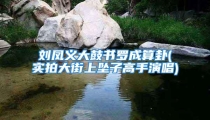 刘凤义大鼓书罗成算卦(实拍大街上坠子高手演唱)