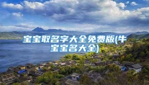 宝宝取名字大全免费版(牛宝宝名大全)