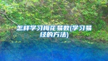 怎样学习梅花易数(学习易经的方法)