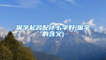 保字起名配什么字好(保字的含义)