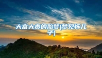 大富大贵的胎梦(梦见怀儿子)