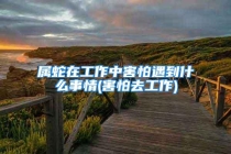 属蛇在工作中害怕遇到什么事情(害怕去工作)