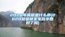 2020年属鼠是什么命(2020迎金鼠宝宝名字想好了吗)