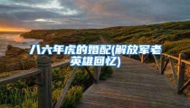 八六年虎的婚配(解放军老英雄回忆)