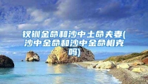 钗钏金命和沙中土命夫妻(沙中金命和沙中金命相克吗)