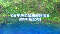 96年两个鼠相配吗(96跟96相配吗)