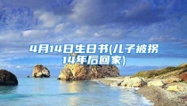 4月14日生日书(儿子被拐14年后回家)