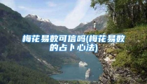 梅花易数可信吗(梅花易数的占卜心法)