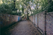 2021年牛和马婚礼择日哪天好(2021年生肖为)