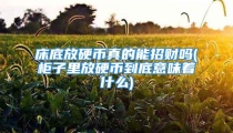 床底放硬币真的能招财吗(柜子里放硬币到底意味着什么)