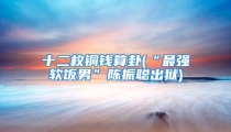 十二枚铜钱算卦(“最强软饭男”陈振聪出狱)