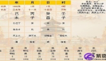壬辰日生人吉凶论断